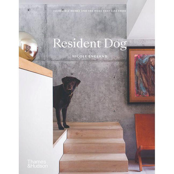 Resident Dog (Compact): Incredible Homes and the Dogs That Live There
