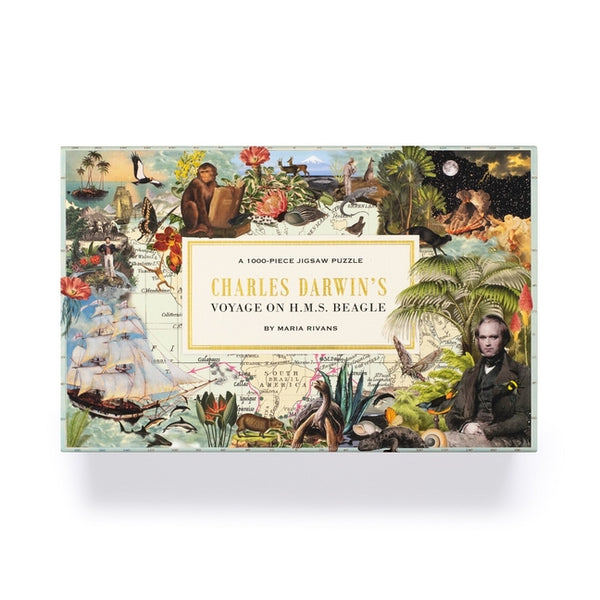 Voyage of HMS Beagle: Charles Darwin's Journey of Discovery: A 1000-Piece Jigsaw Puzzle - Ingram