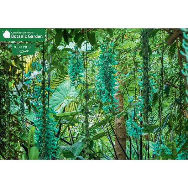 Jade Vine 1000 Piece Jigsaw Puzzle: Cambridge University Botanic Garden