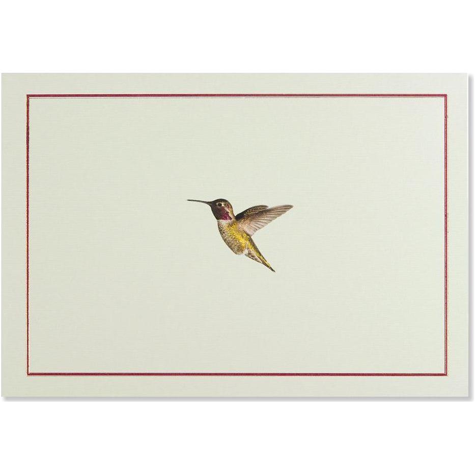 Note Card Hummingbird Flight