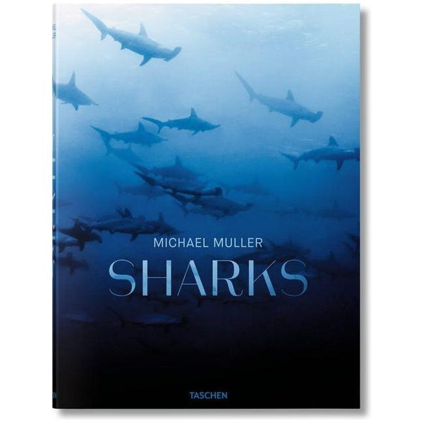 Michael Muller. Sharks