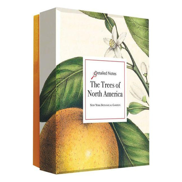 Trees of North America: A Detailed Notes Notecard Box