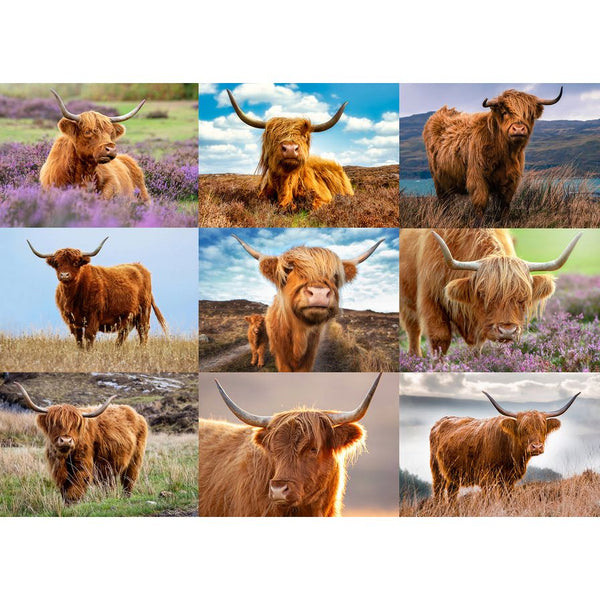 Highland Cows 1000-Piece Puzzle - Ingram