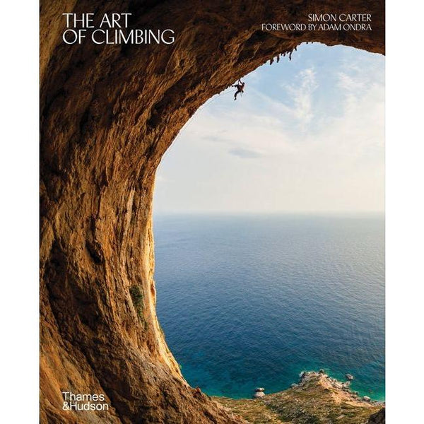 Art of Climbing