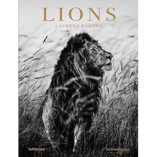 Lions (English, German and French)