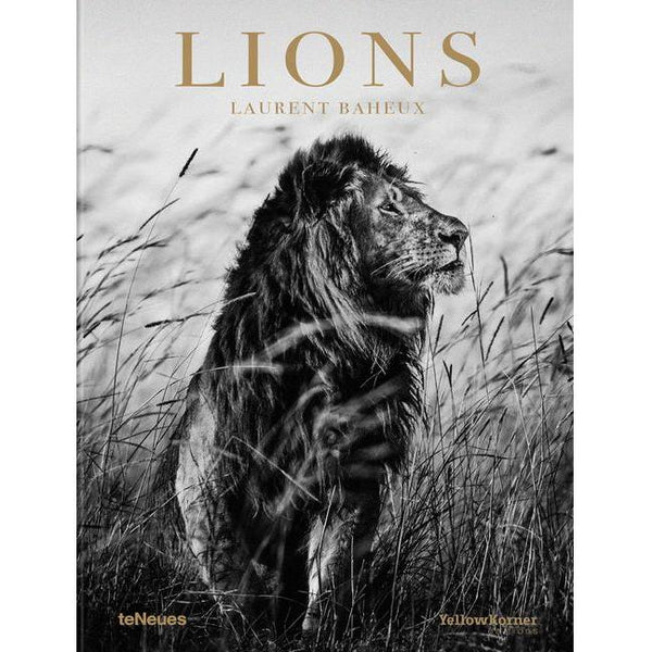 Lions (English, German and French)