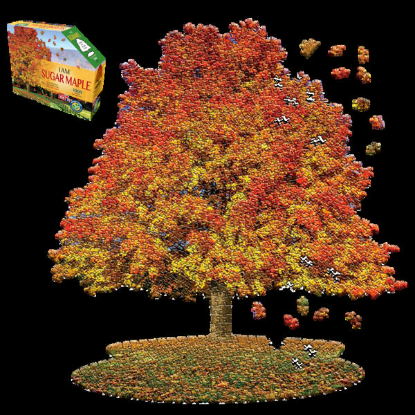 I Am Sugar Maple 1000 Pieces - Ingram