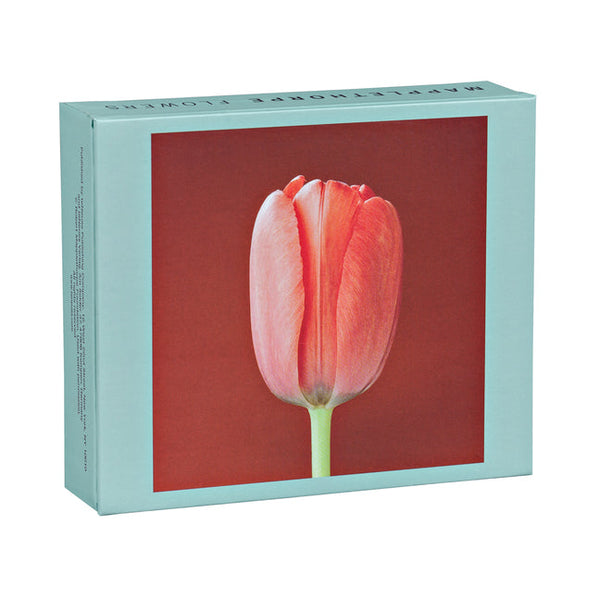 Teneues - Quicknotes: Mapplethorpe Flowers, Notecard Box, Blank Inside, 20 Full Color Notecards with 20 Classic White Envelopes, Gift Box, Magnetic Cl