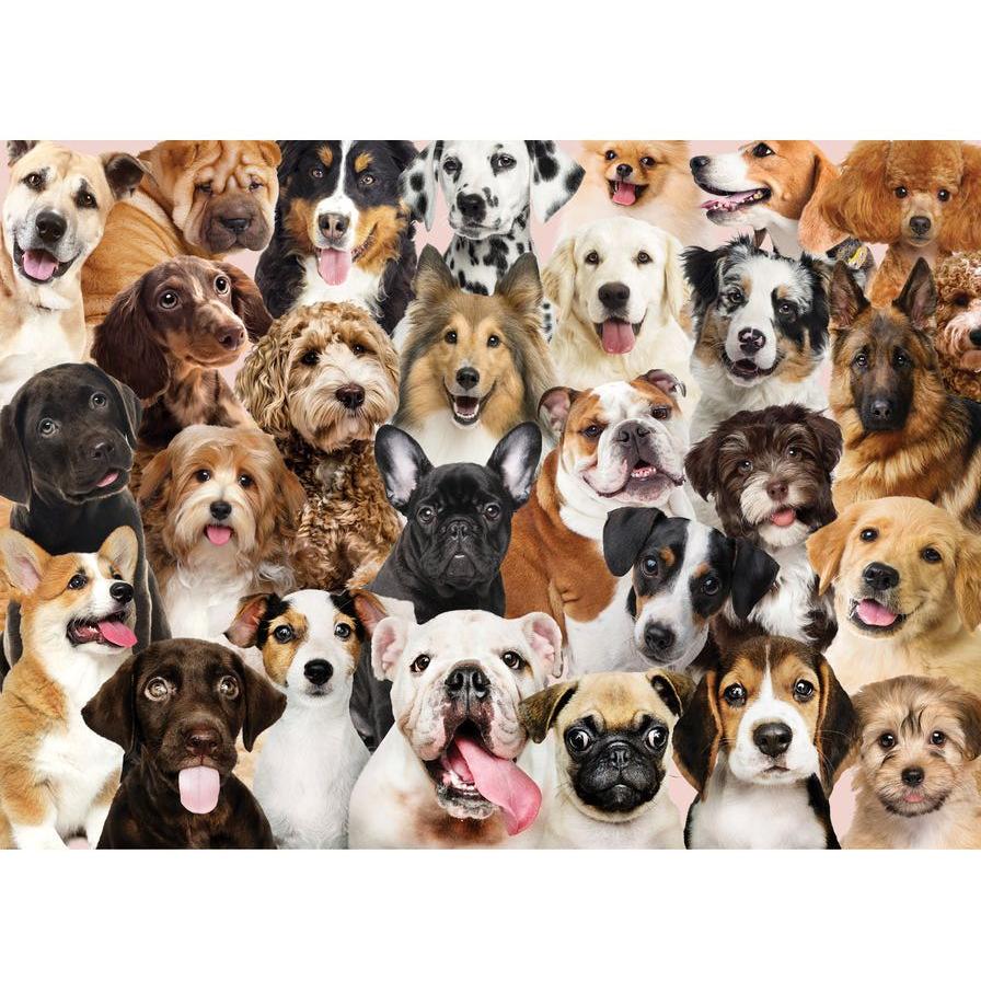 All the Dogs 500 Piece Jigsaw Puzzle
