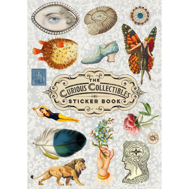 Curious Collections Sticker Book - Ingram