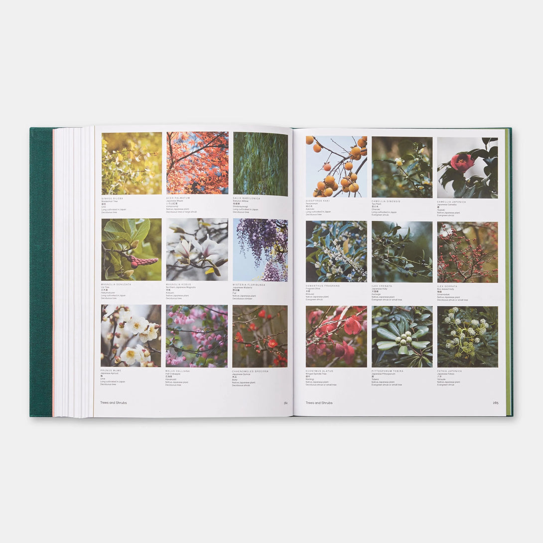 Japanese Garden - The Missing Piece Company