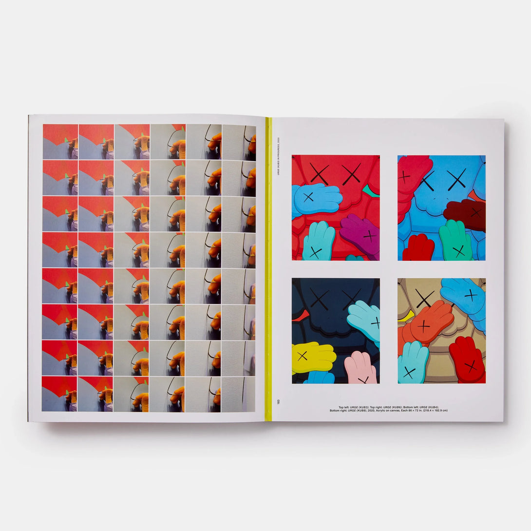Kaws: What Party (Black on Pink Edition) - The Missing Piece Company