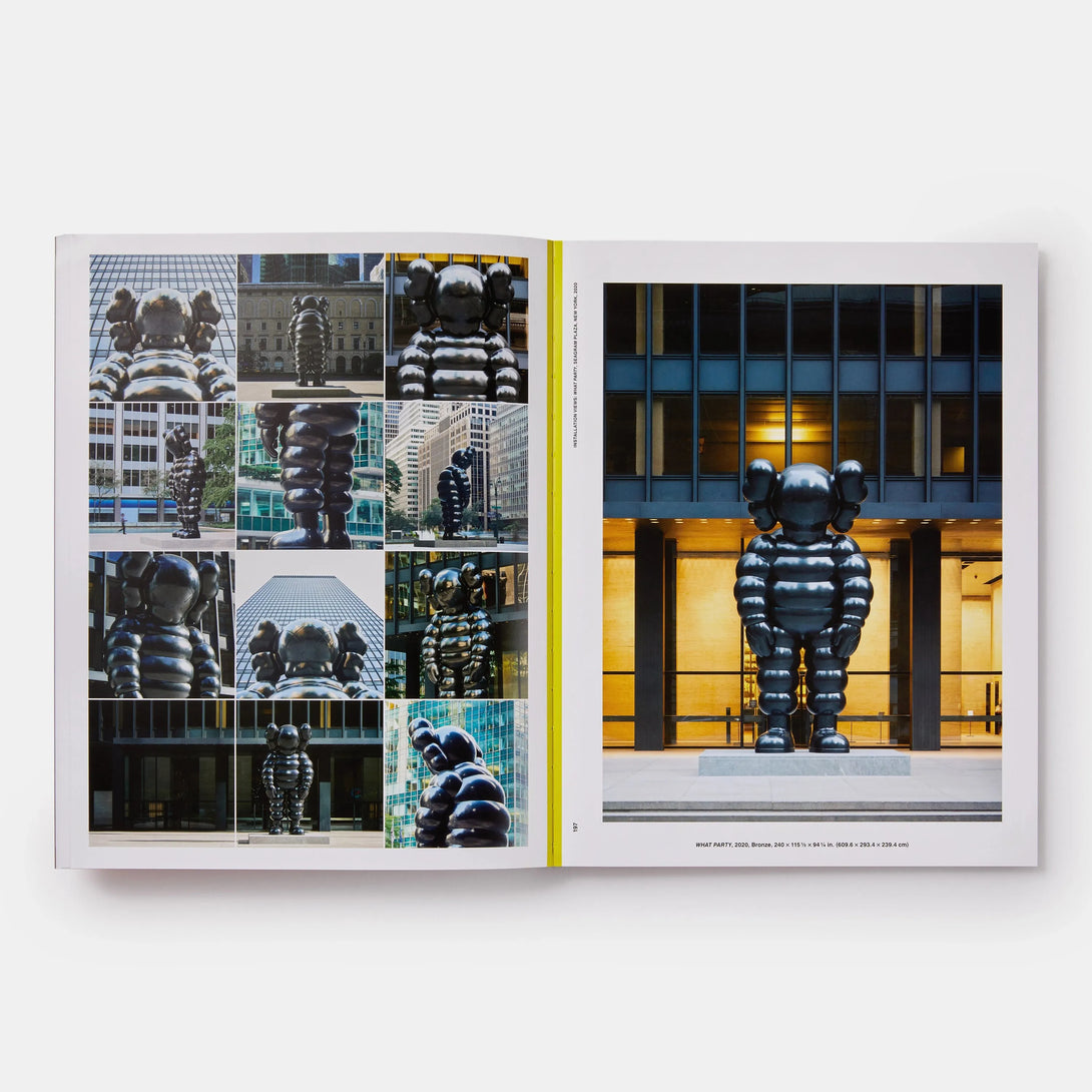 Kaws: What Party (Black on Pink Edition) - The Missing Piece Company