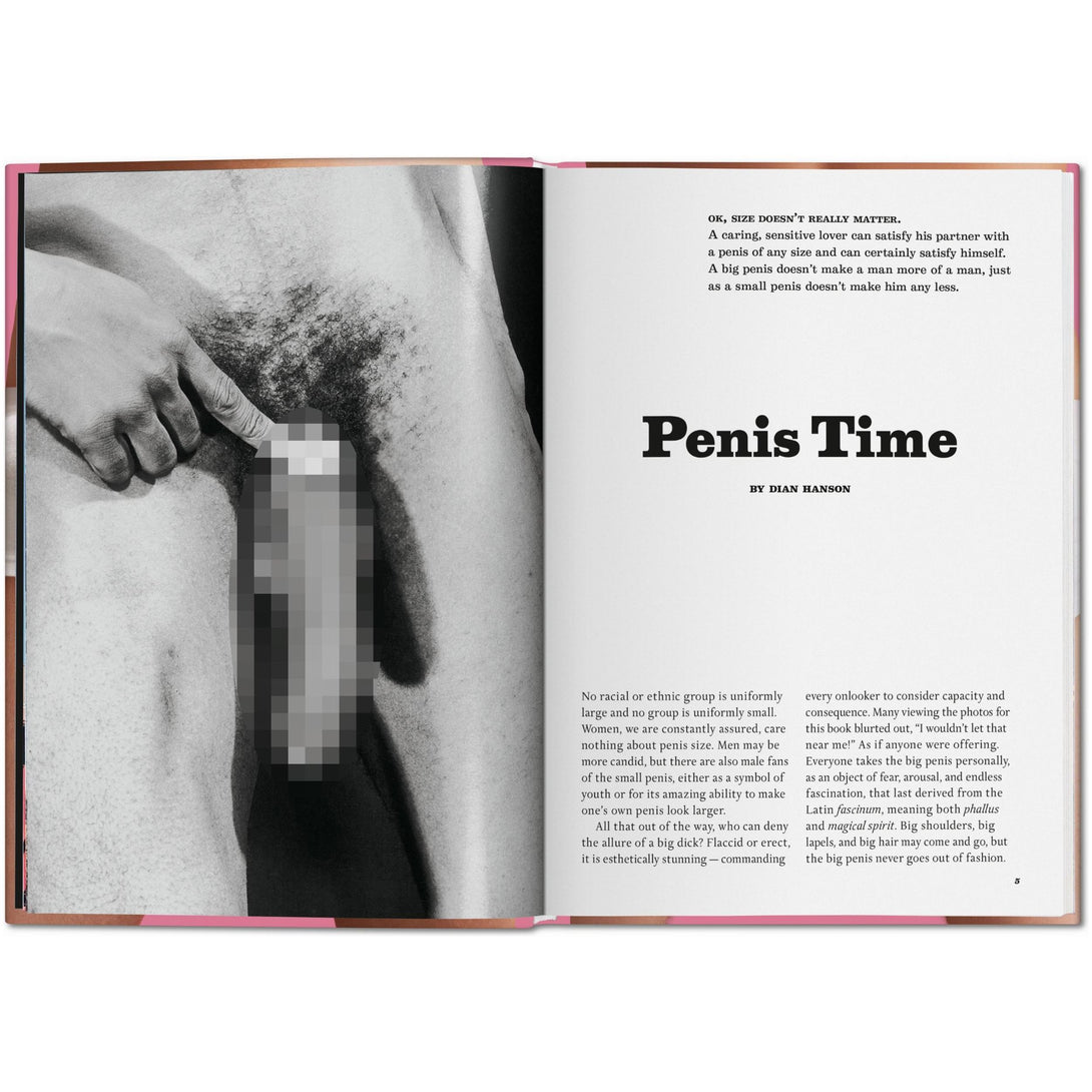 Little Big Penis Book - The Missing Piece Company