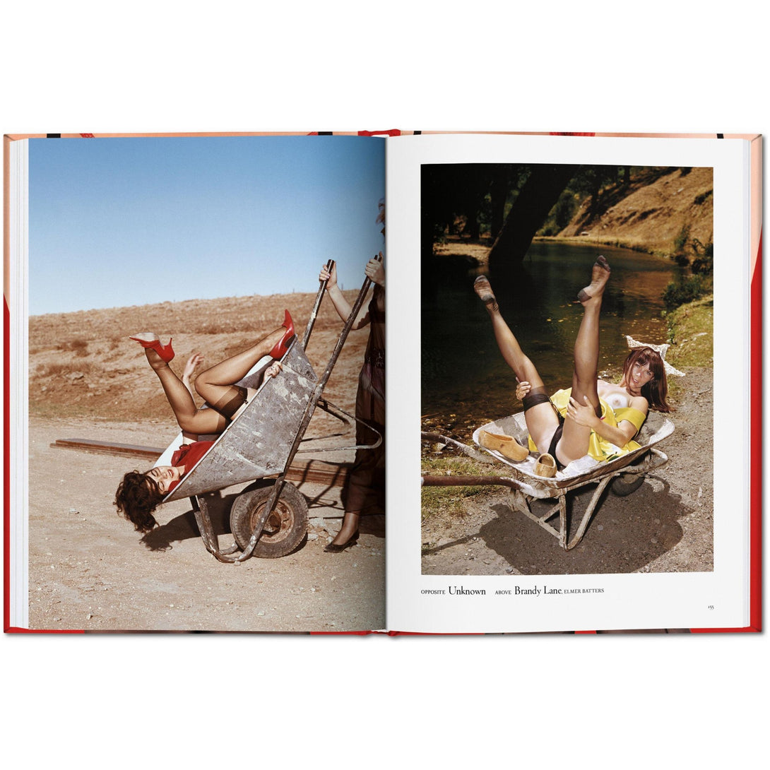 Little Big Book of Legs - The Missing Piece Company