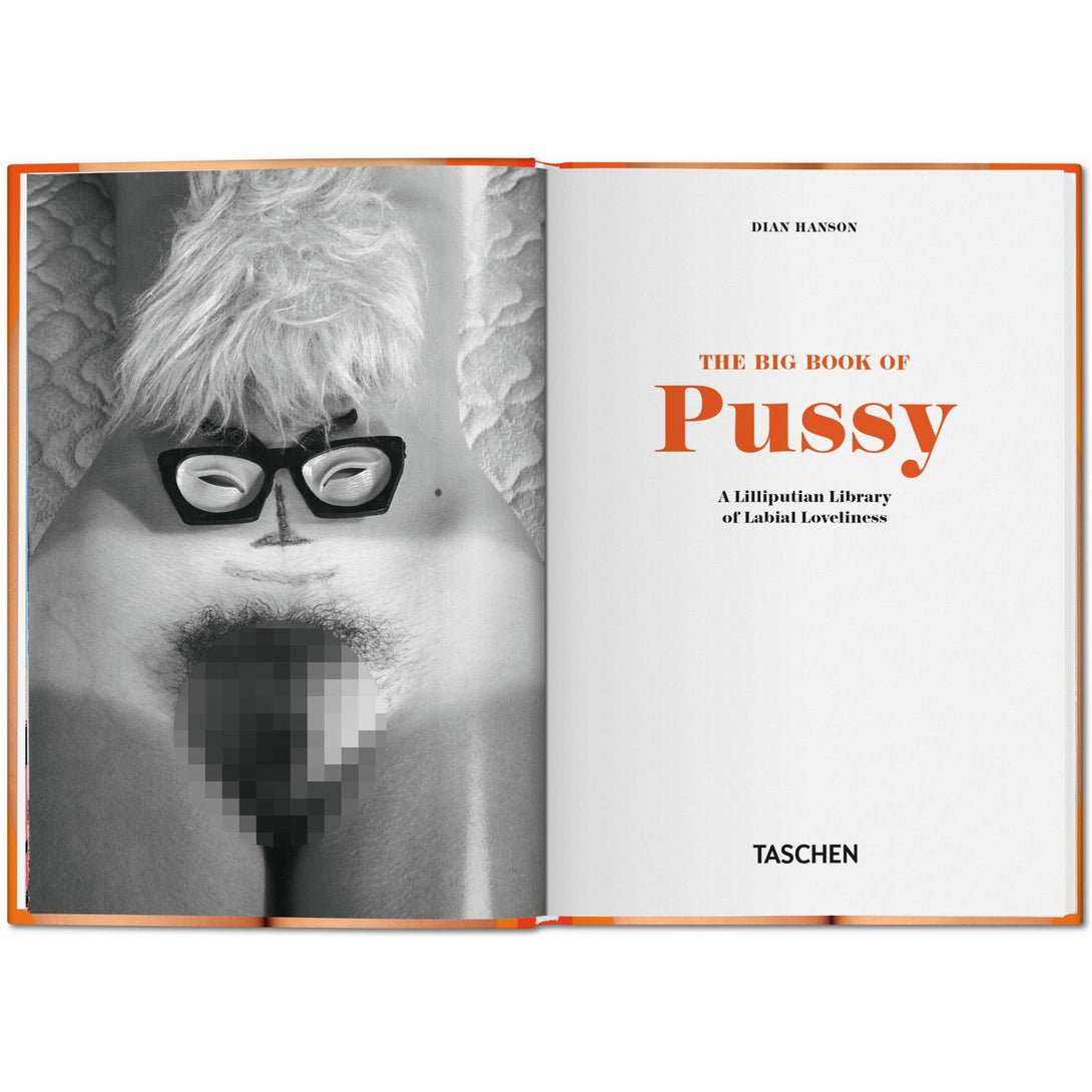 Little Big Book of Pussy - The Missing Piece Company