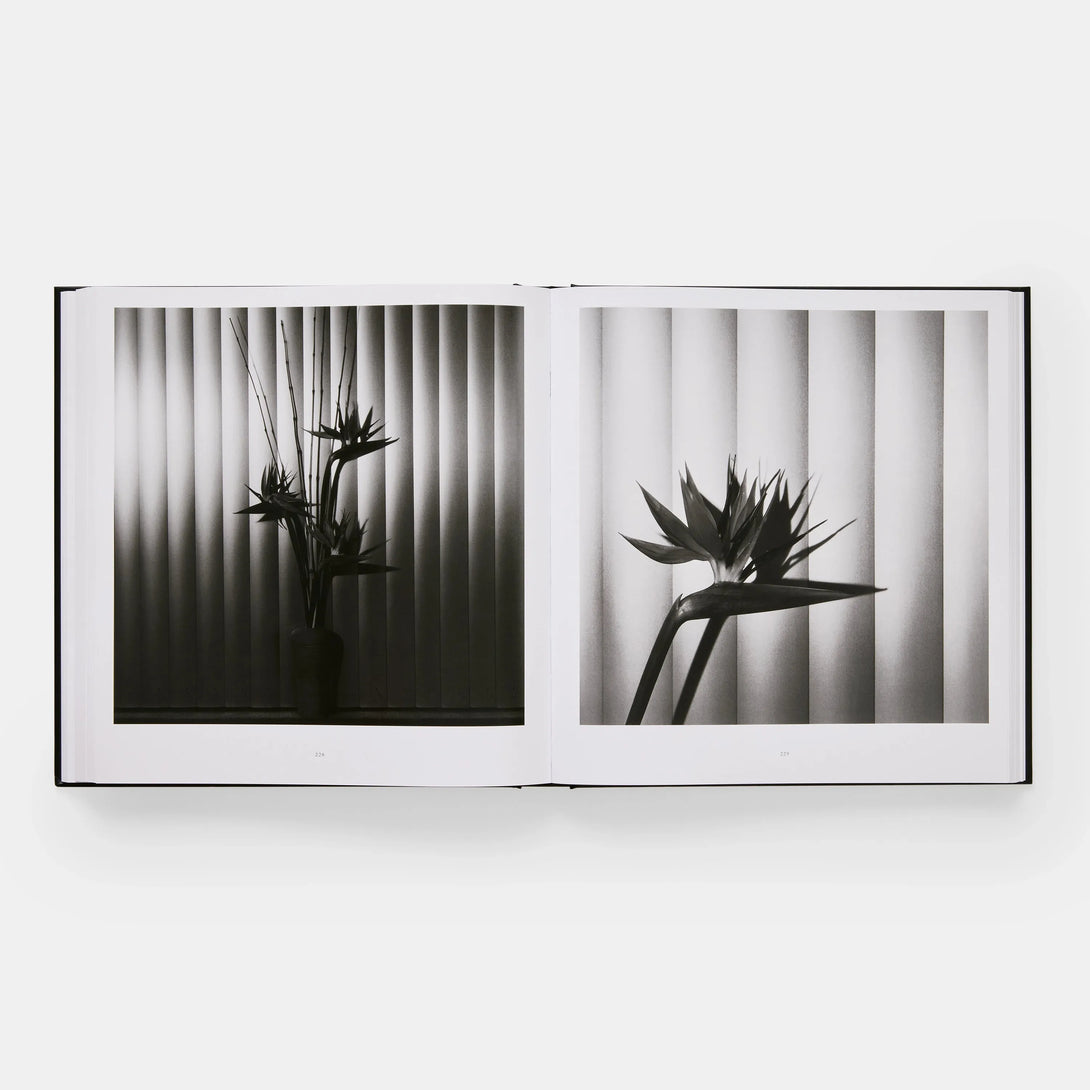 Mapplethorpe Flora: The Complete Flowers - The Missing Piece Company