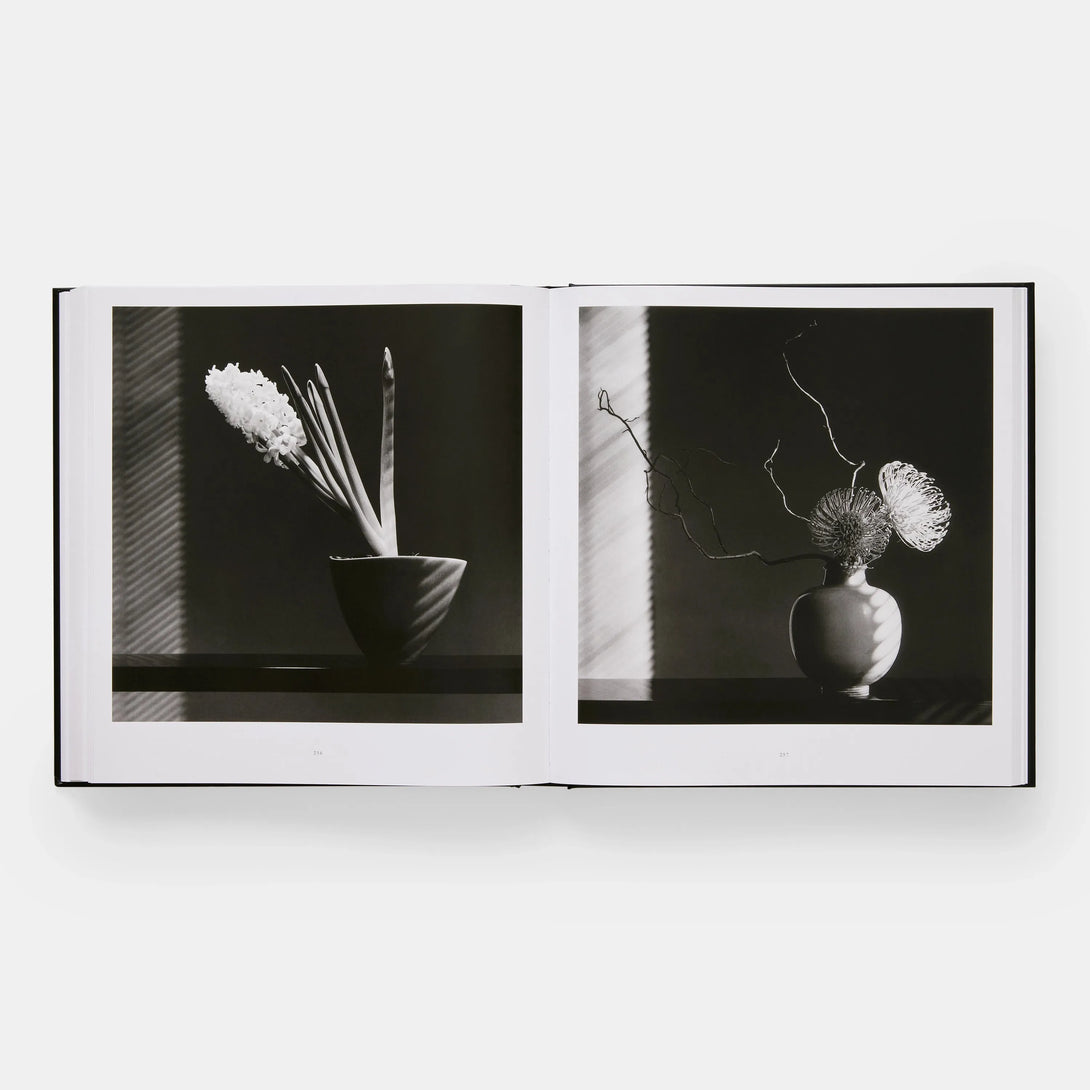 Mapplethorpe Flora: The Complete Flowers - The Missing Piece Company