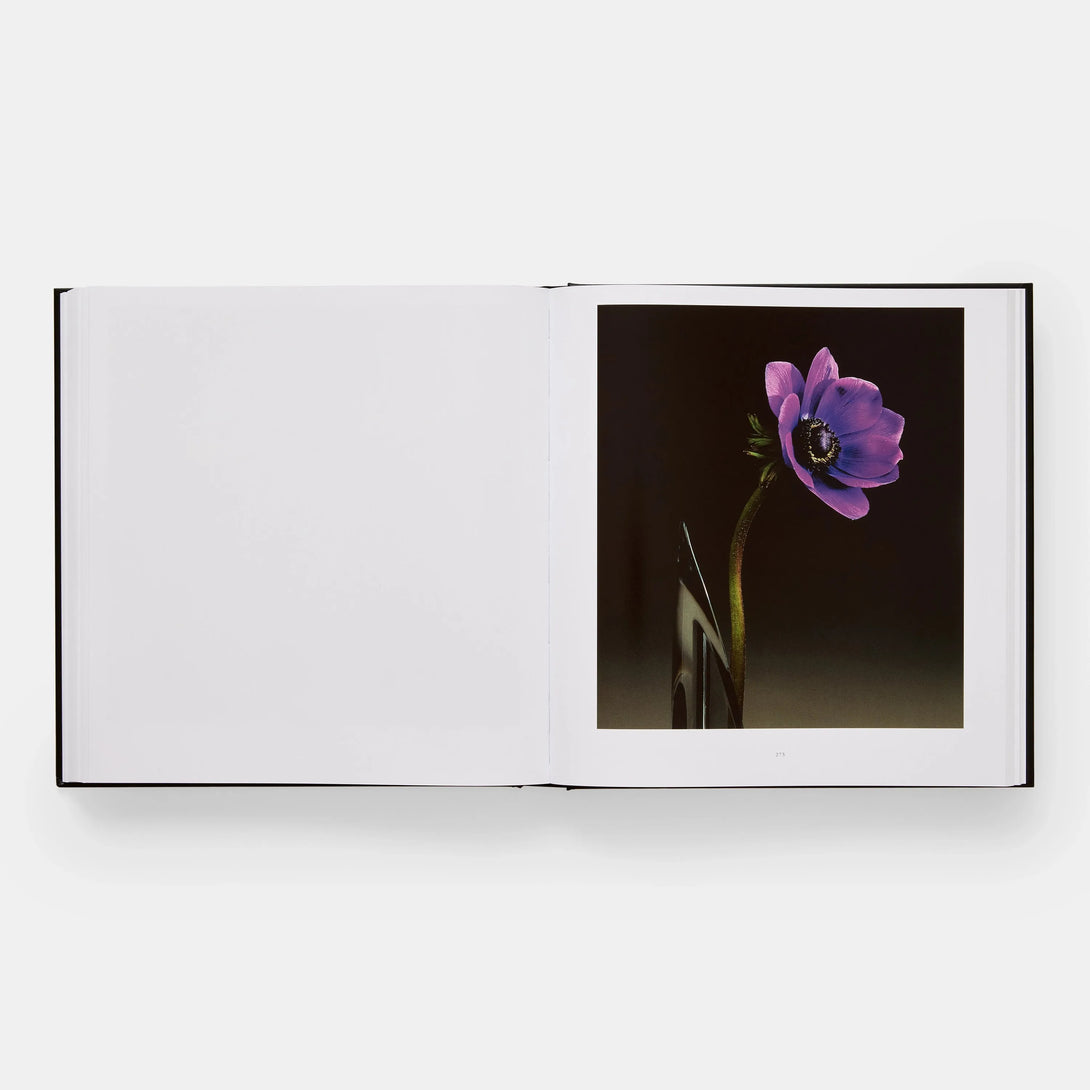 Mapplethorpe Flora: The Complete Flowers - The Missing Piece Company