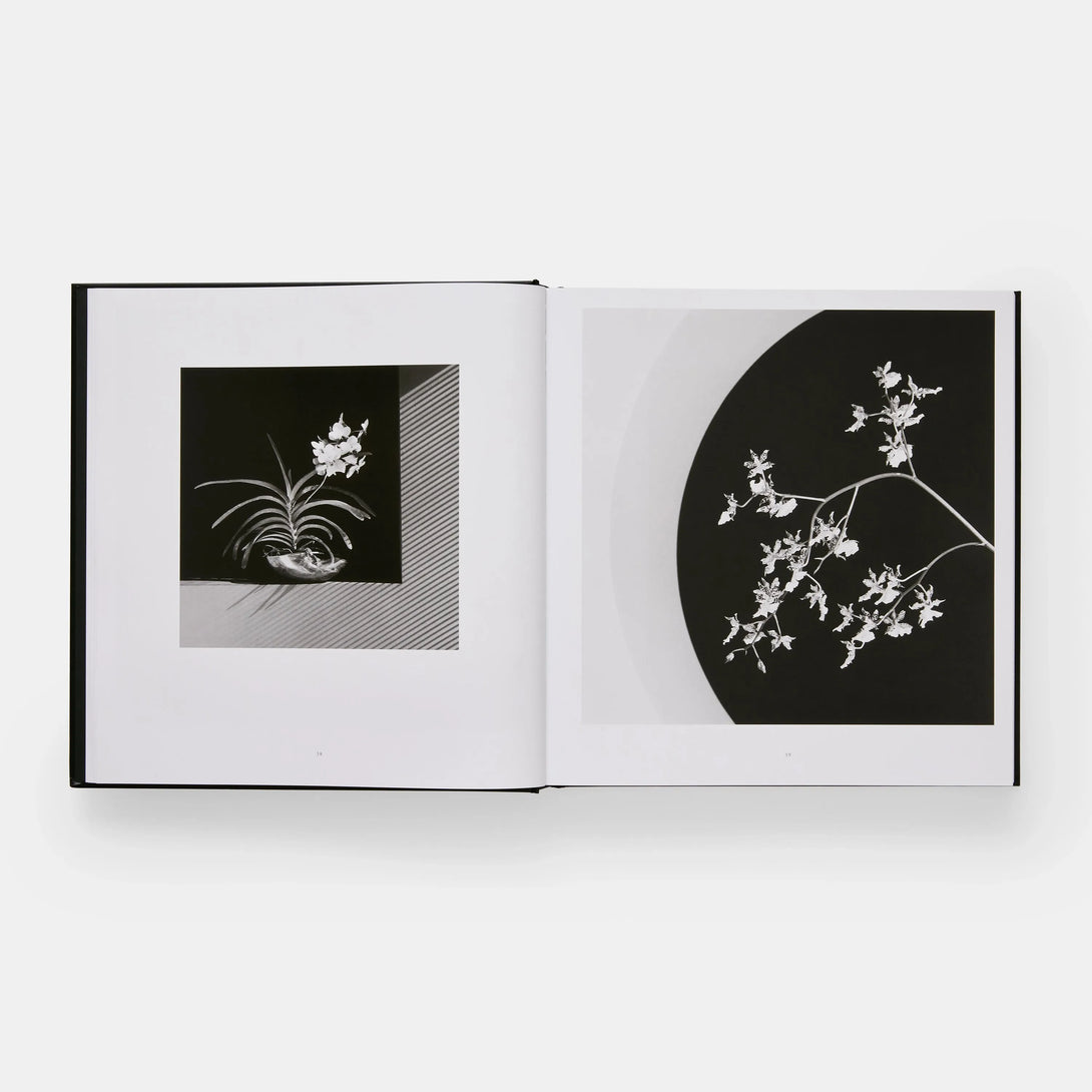 Mapplethorpe Flora: The Complete Flowers - The Missing Piece Company