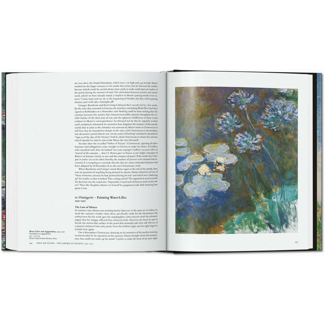 Monet. the Triumph of Impressionism - The Missing Piece Company