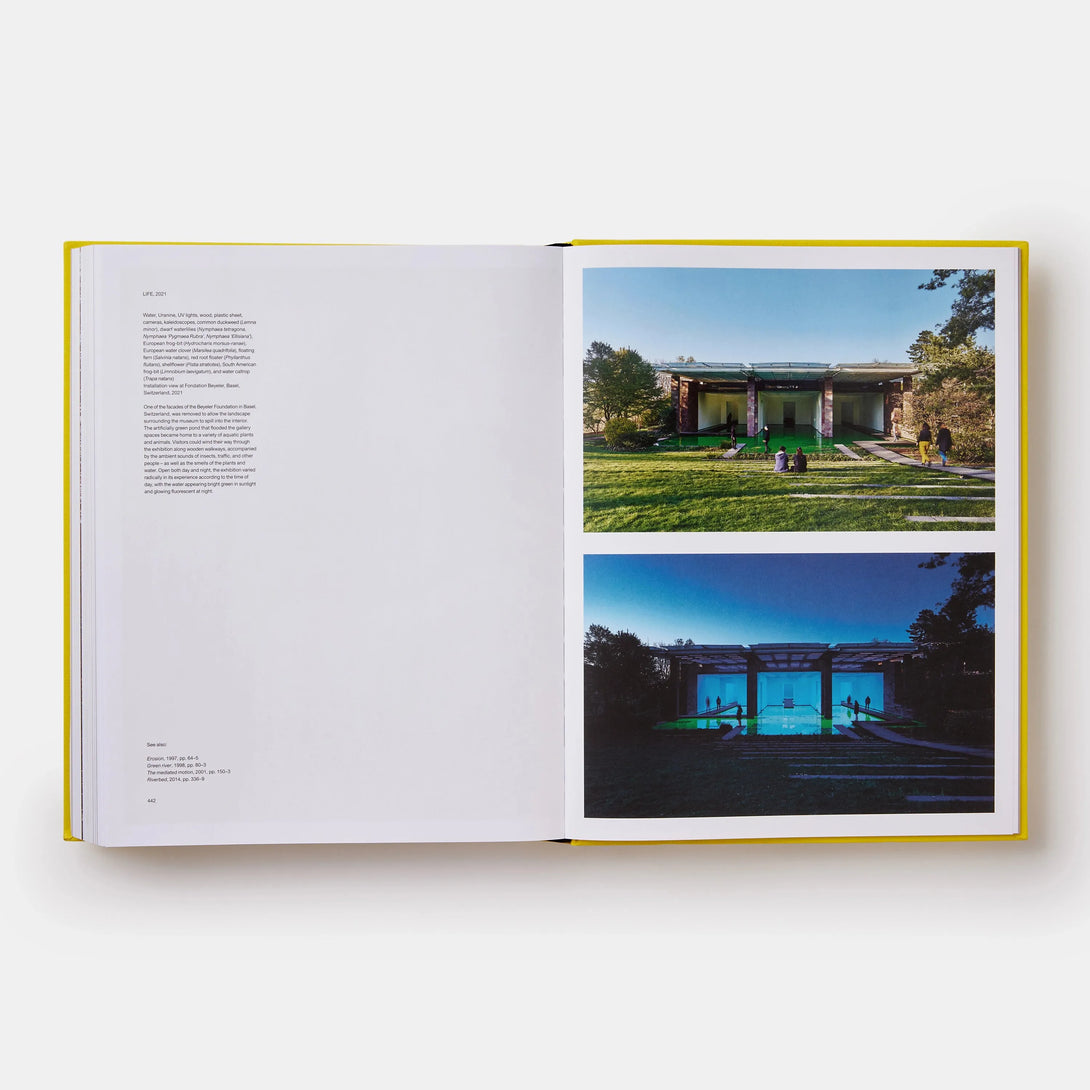 Experience: Revised and Expanded Edition - The Missing Piece Company