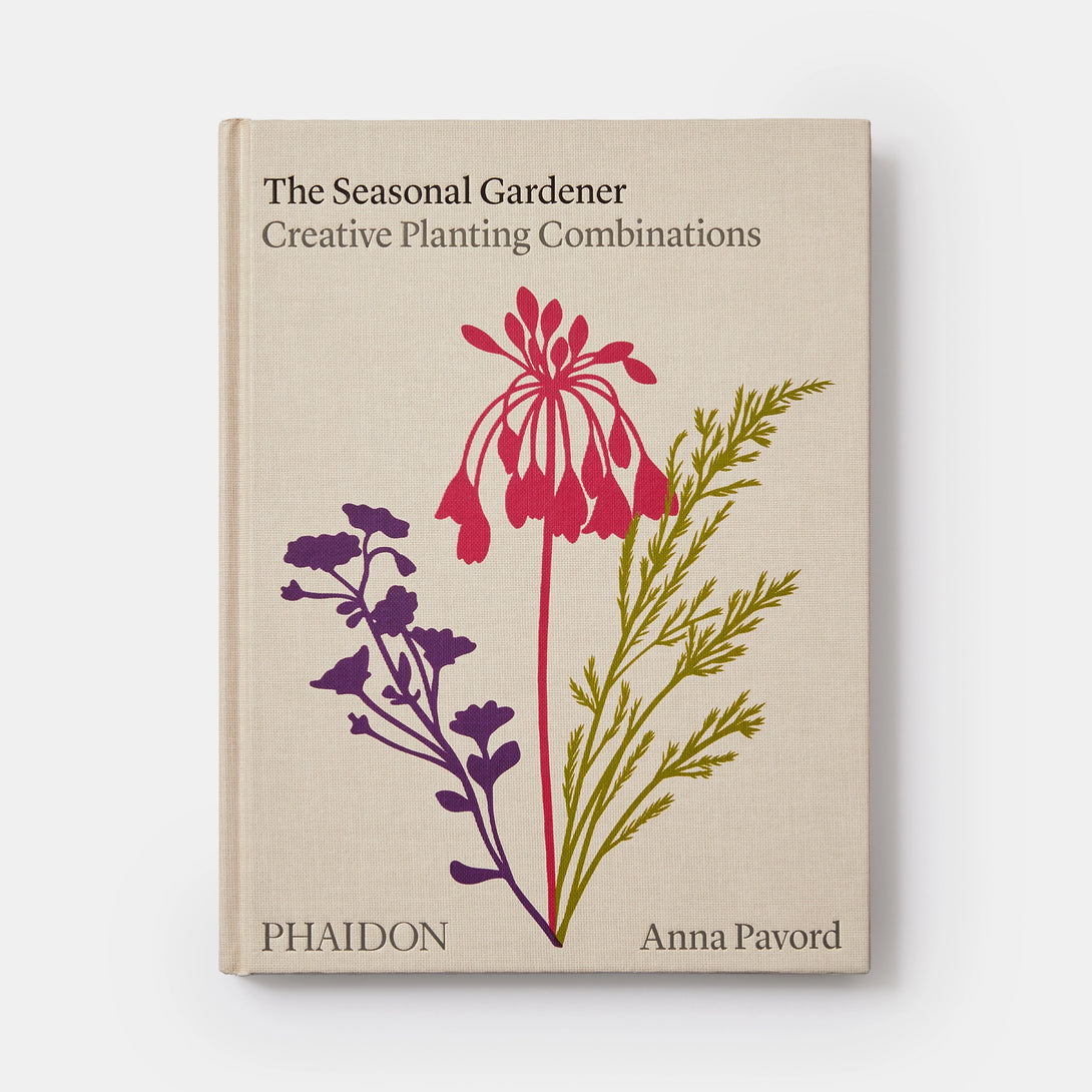 Seasonal Gardener: Creative Planting Combinations - The Missing Piece Company