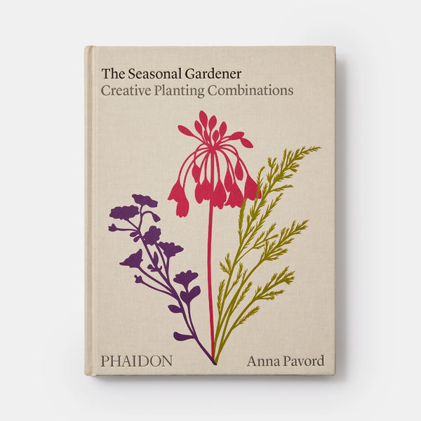 Seasonal Gardener: Creative Planting Combinations - The Missing Piece Company