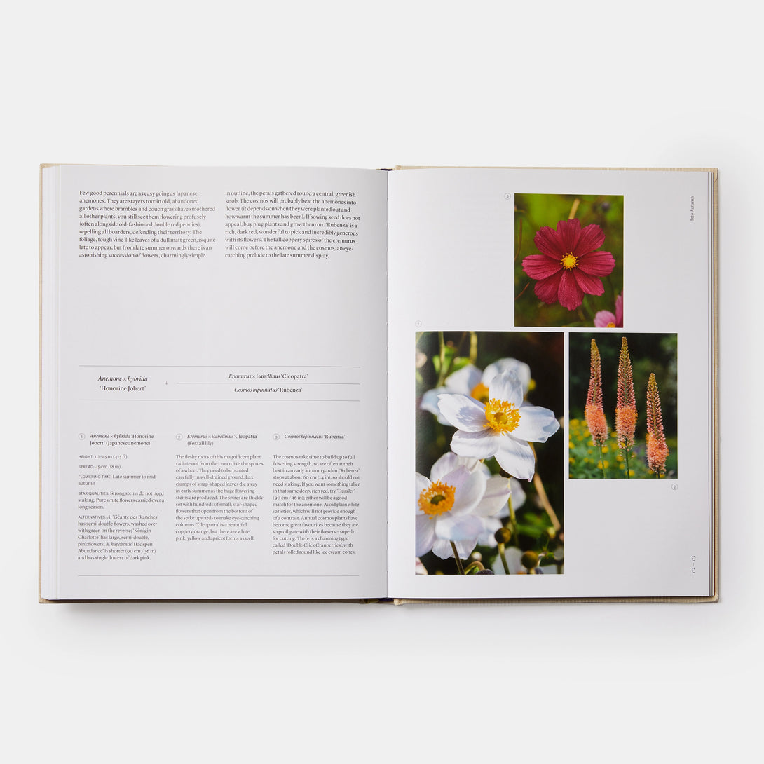 Seasonal Gardener: Creative Planting Combinations - The Missing Piece Company