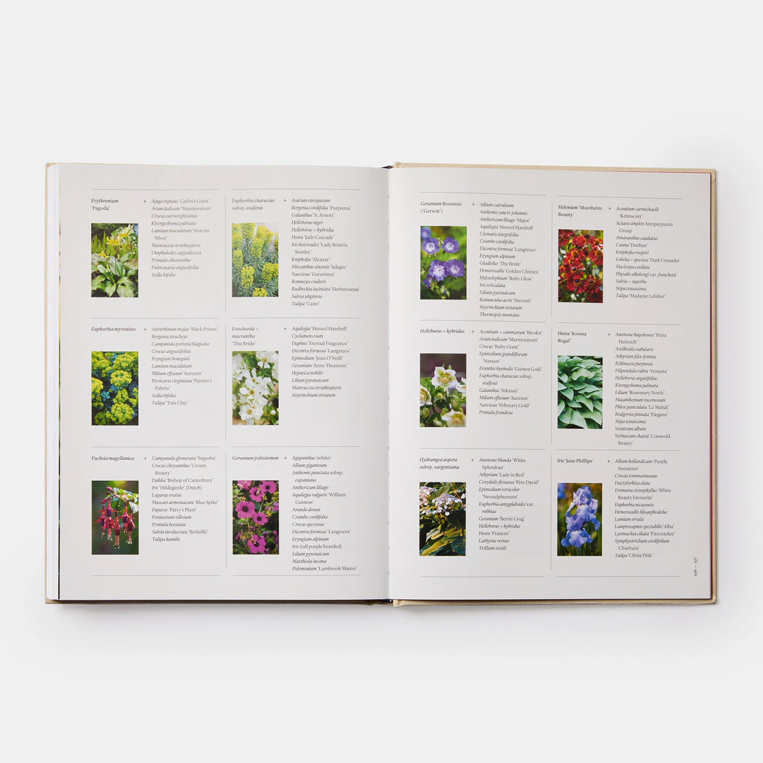 Seasonal Gardener: Creative Planting Combinations - The Missing Piece Company