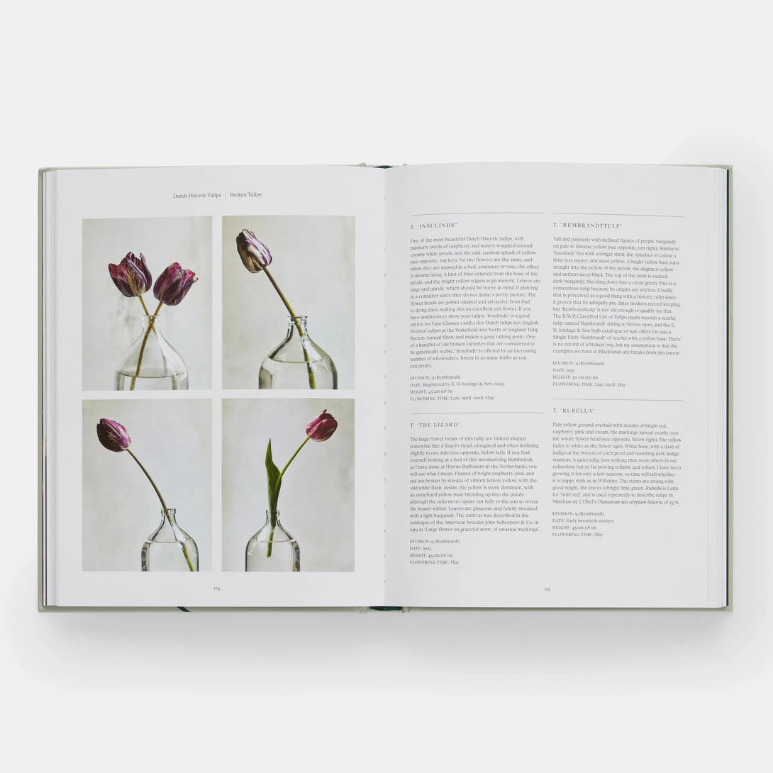 Tulip Garden: Growing and Collecting Species, Rare and Annual Varieties - The Missing Piece Company