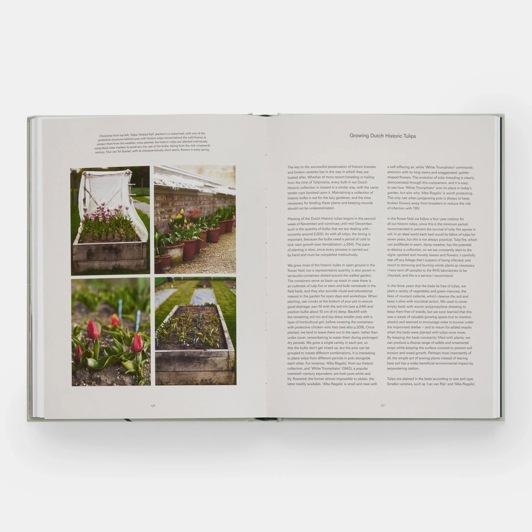 Tulip Garden: Growing and Collecting Species, Rare and Annual Varieties - The Missing Piece Company