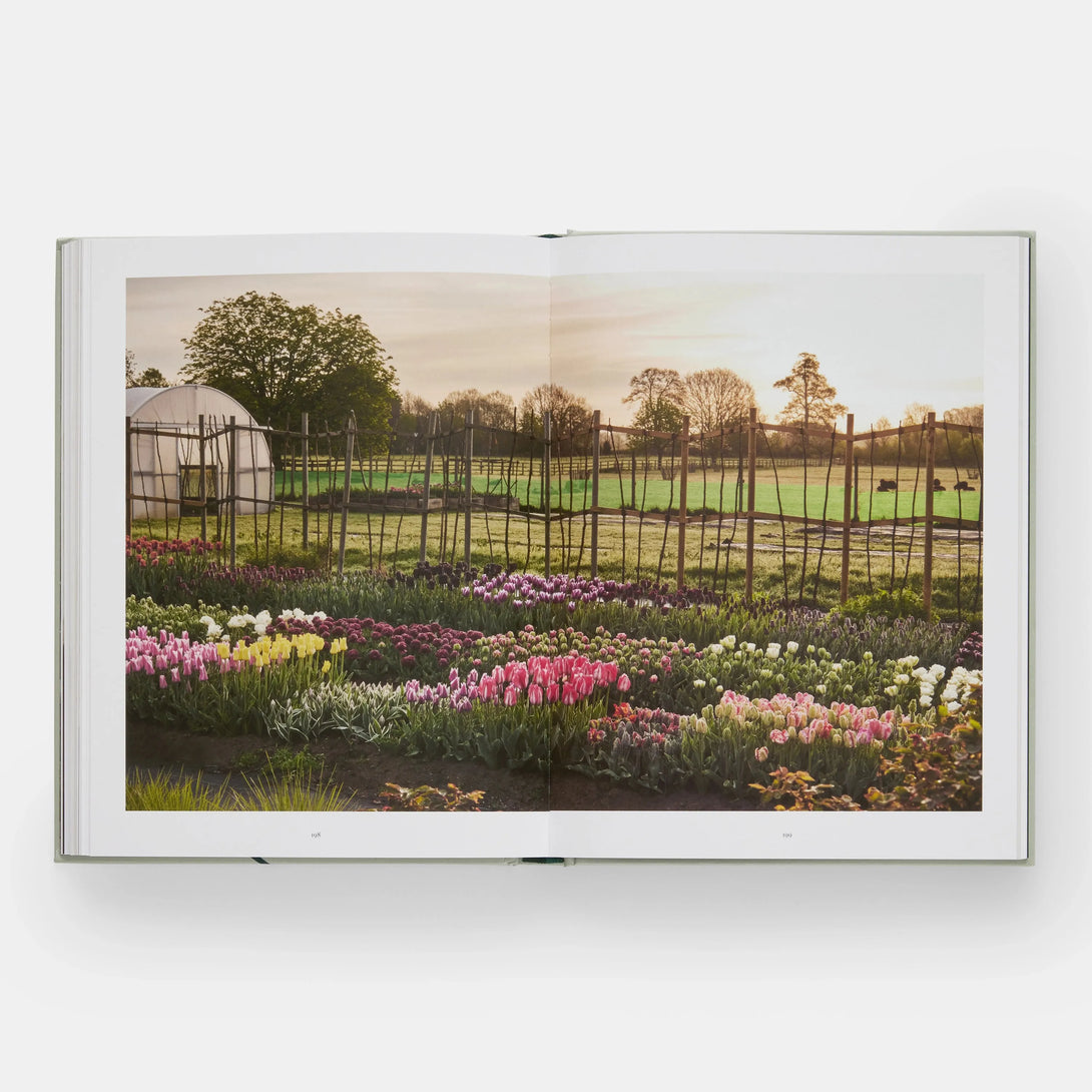Tulip Garden: Growing and Collecting Species, Rare and Annual Varieties - The Missing Piece Company