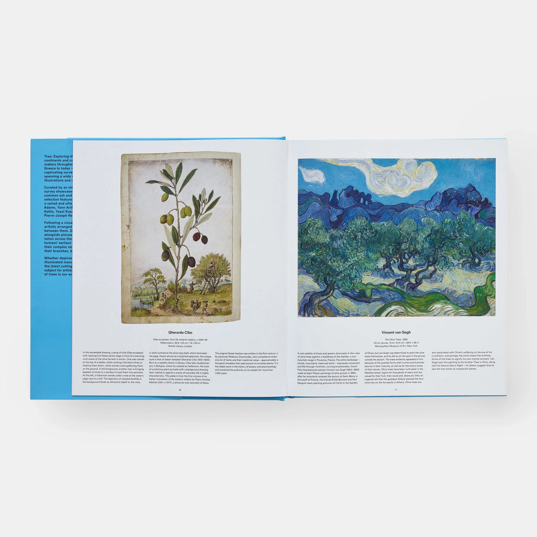 Tree: Exploring the Arboreal World - The Missing Piece Company