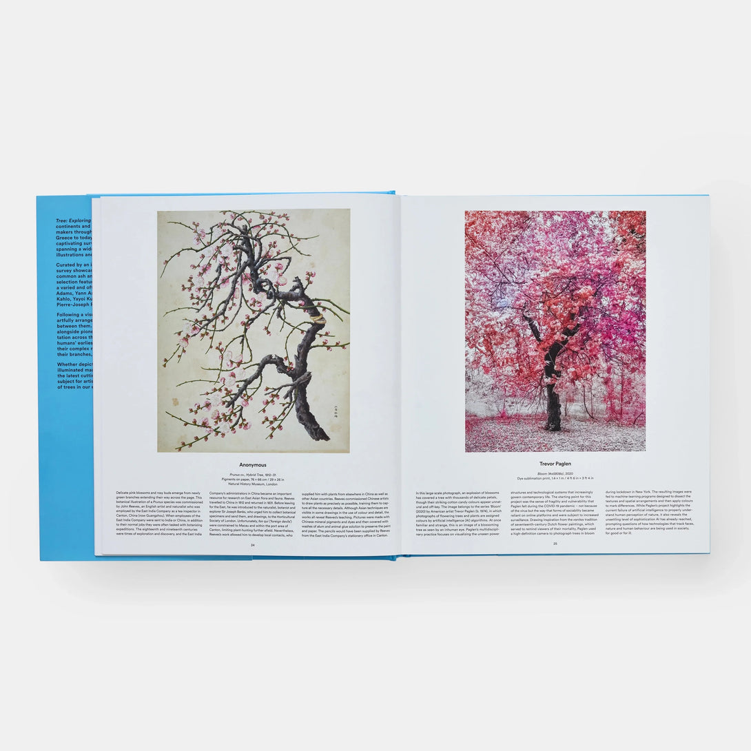 Tree: Exploring the Arboreal World - The Missing Piece Company