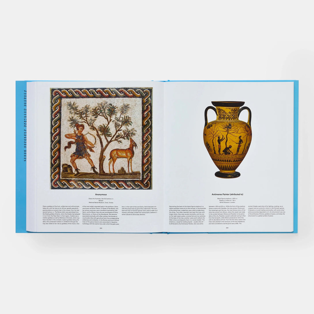 Tree: Exploring the Arboreal World - The Missing Piece Company