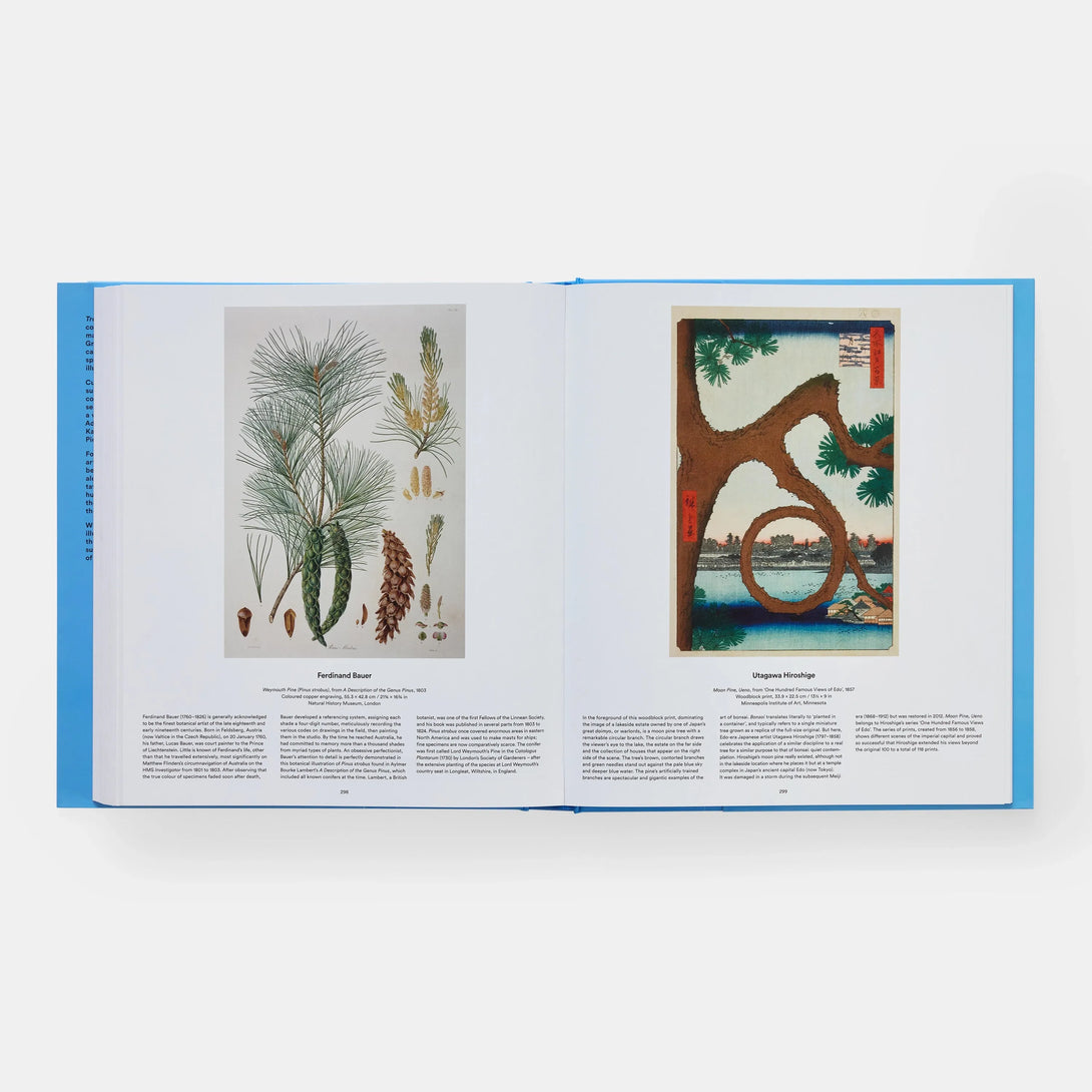 Tree: Exploring the Arboreal World - The Missing Piece Company