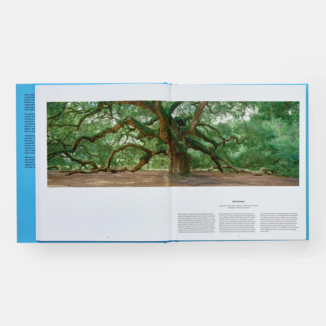 Tree: Exploring the Arboreal World - The Missing Piece Company
