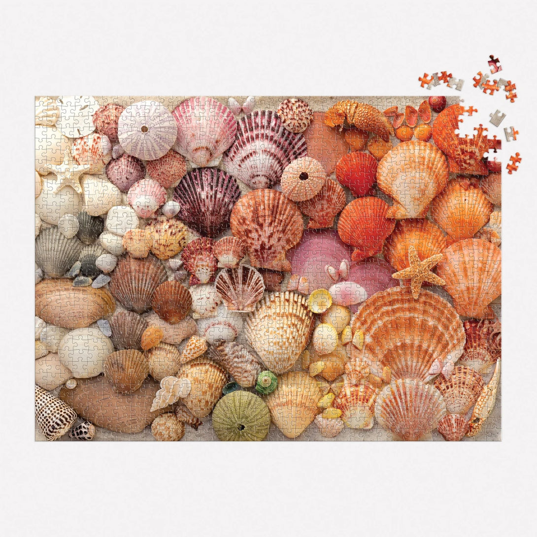 Vibrant Seashells 1000 Piece Puzzle - The Missing Piece Company