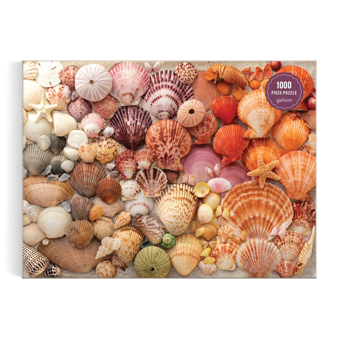 Vibrant Seashells 1000 Piece Puzzle - The Missing Piece Company