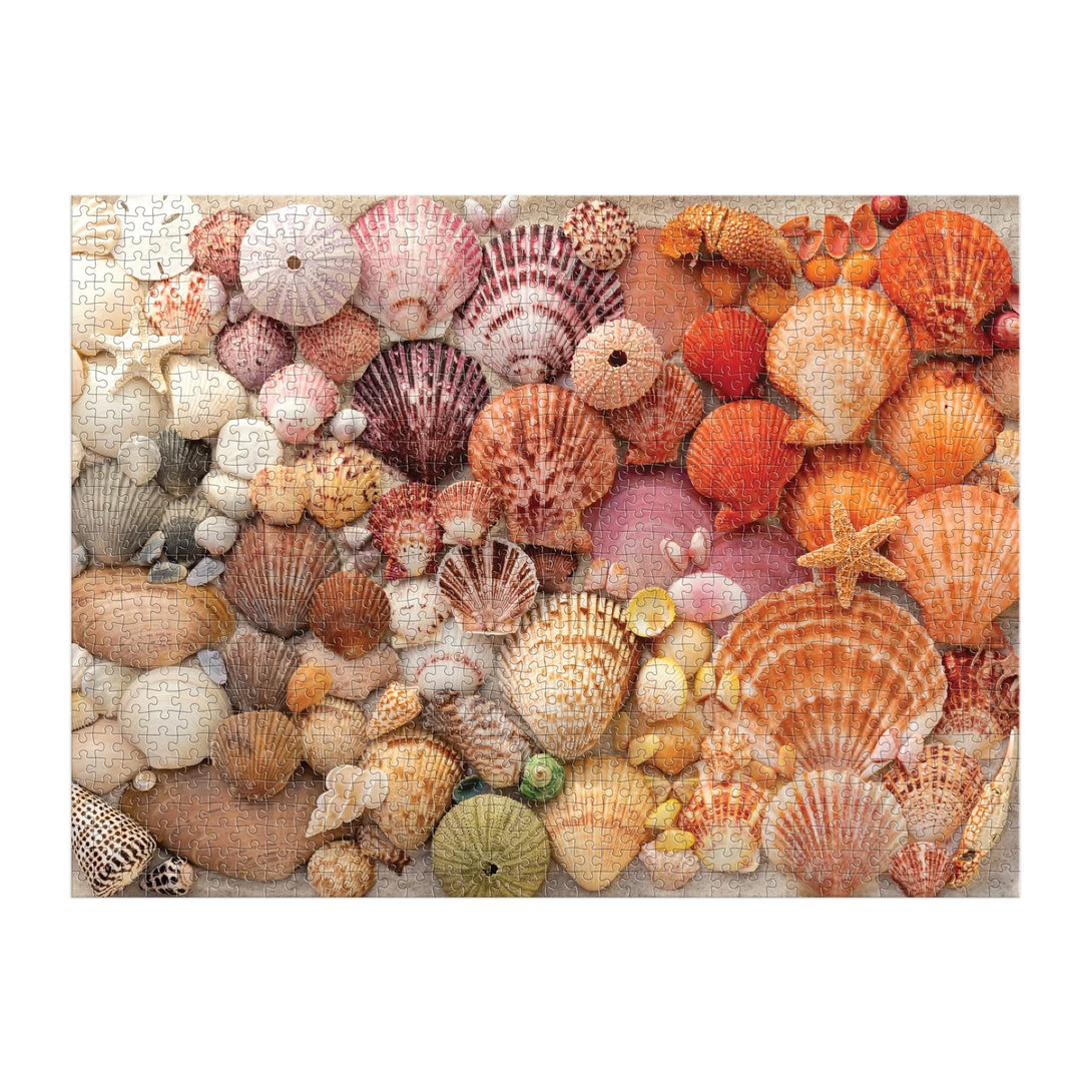 Vibrant Seashells 1000 Piece Puzzle - The Missing Piece Company