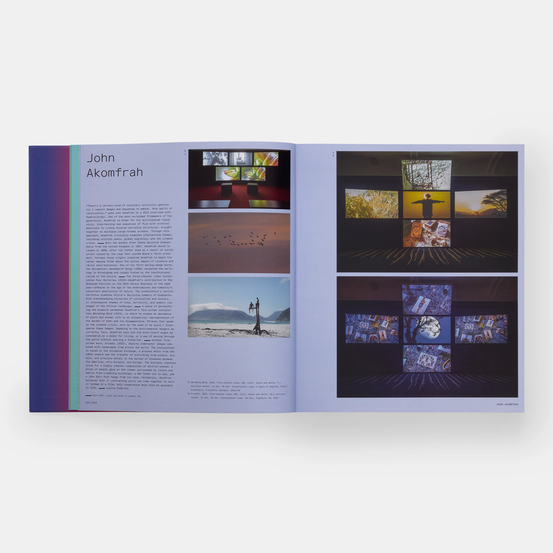 Vitamin V: Video and the Moving Image in Contemporary Art - The Missing Piece Company