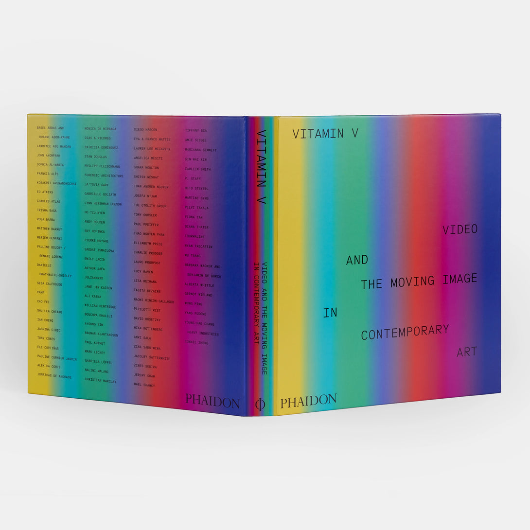 Vitamin V: Video and the Moving Image in Contemporary Art - The Missing Piece Company