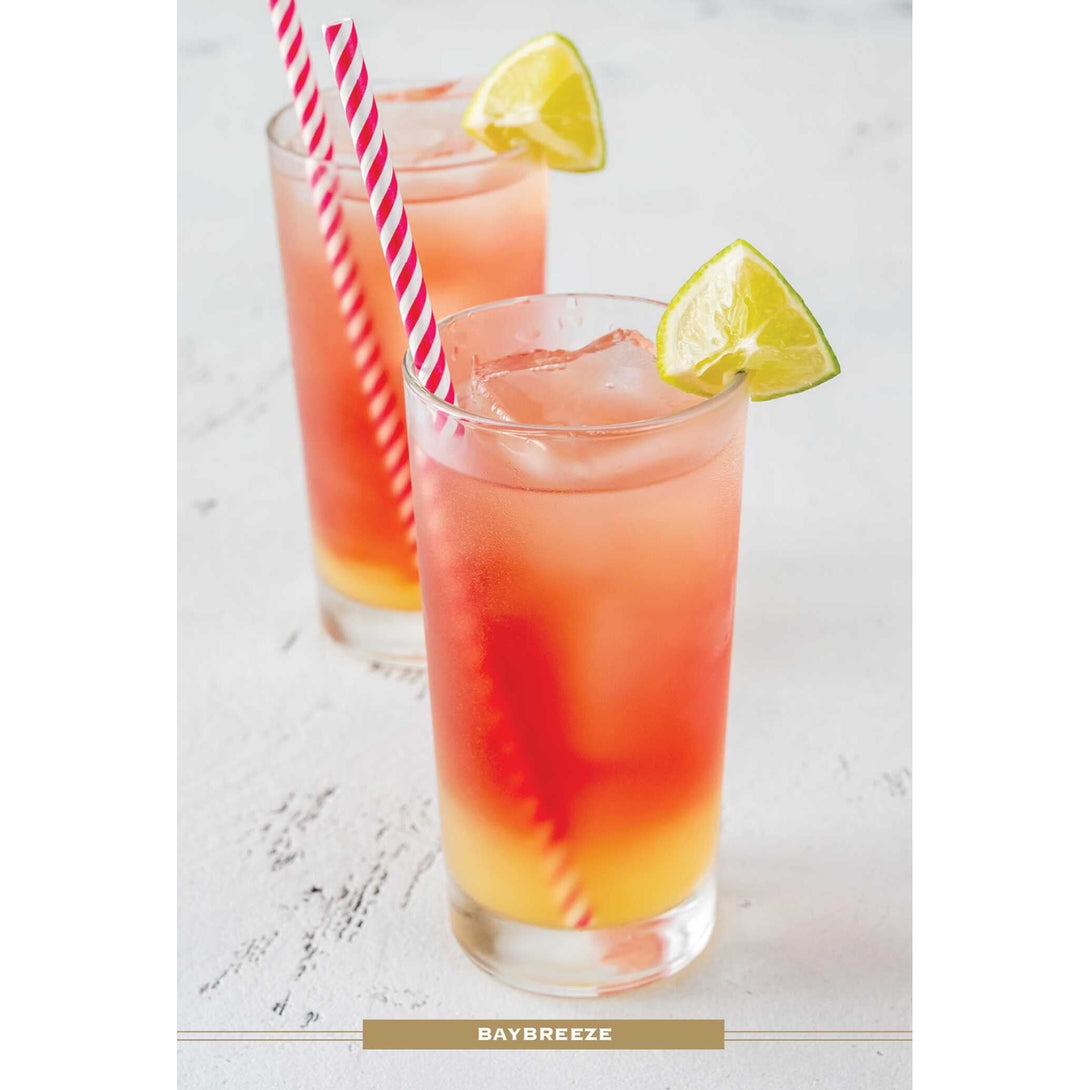 Vodka Cocktail Cards A-Z: The Ultimate Drink Recipe Dictionary Deck - The Missing Piece Company