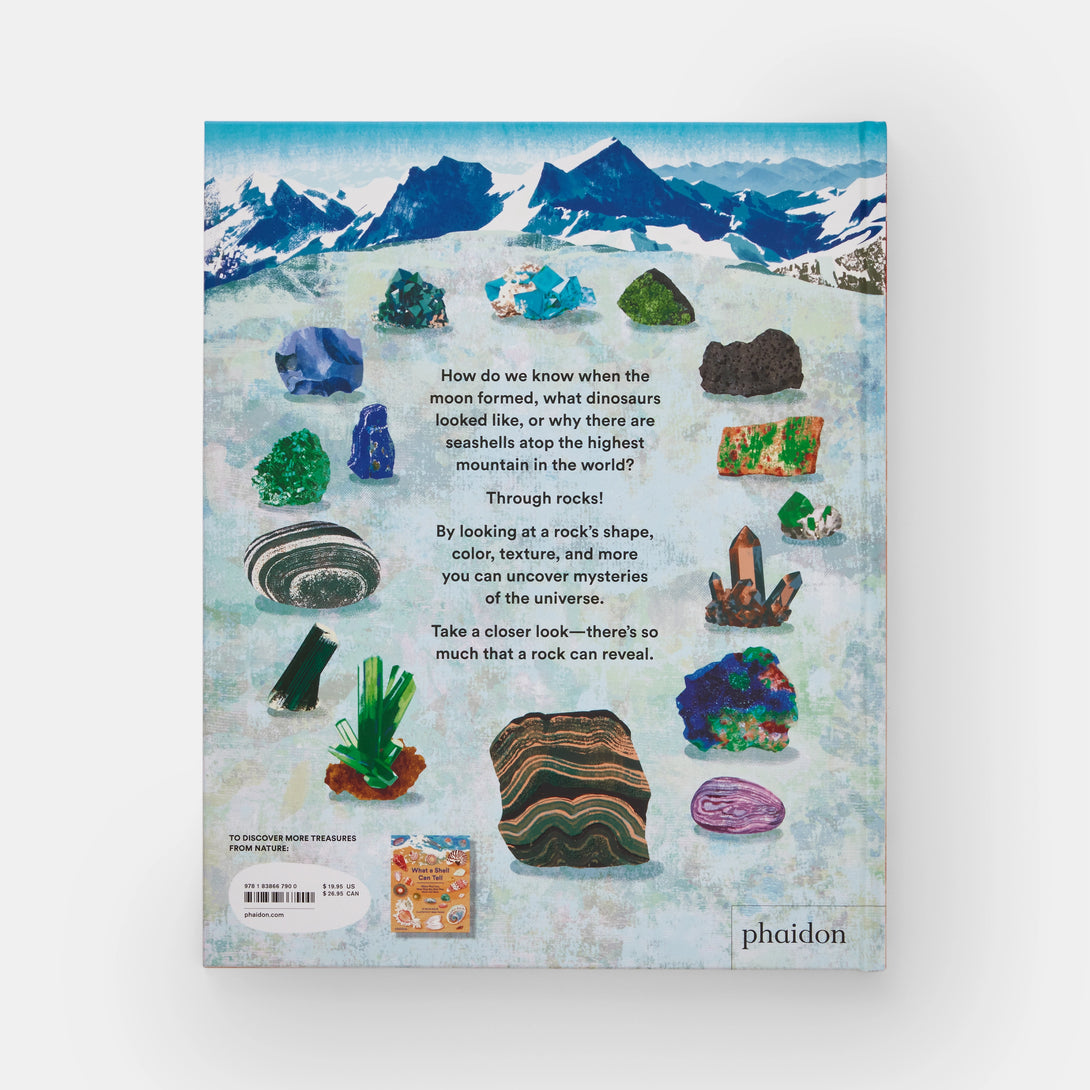 What a Rock Can Reveal: Where They Come from and What They Tell Us about Our Planet - The Missing Piece Company