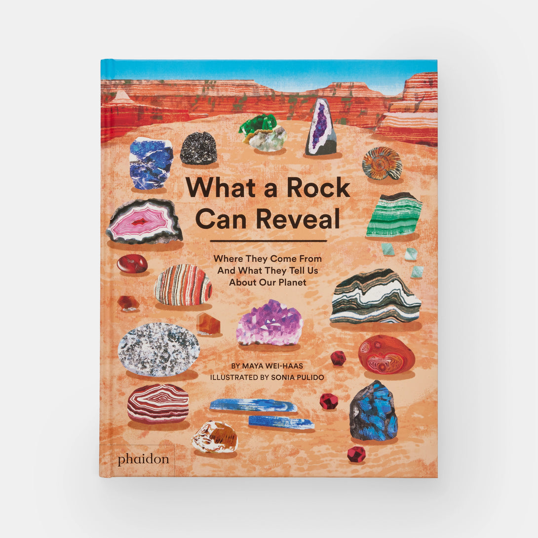 What a Rock Can Reveal: Where They Come from and What They Tell Us about Our Planet - The Missing Piece Company