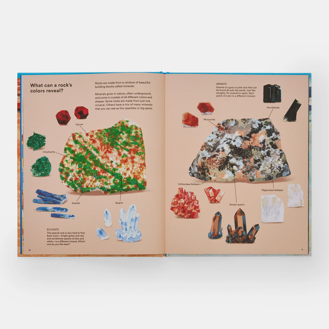 What a Rock Can Reveal: Where They Come from and What They Tell Us about Our Planet - The Missing Piece Company