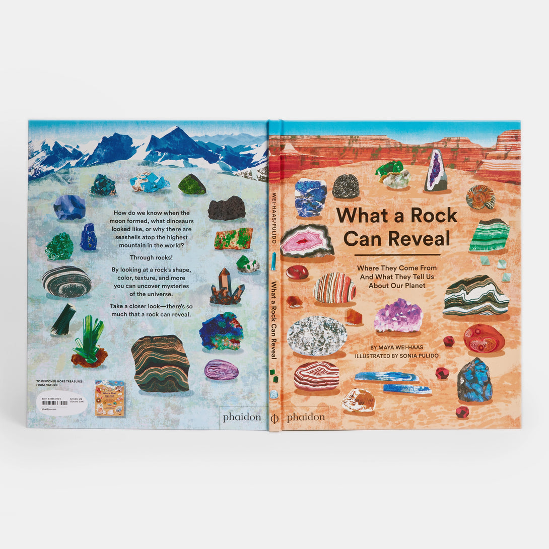 What a Rock Can Reveal: Where They Come from and What They Tell Us about Our Planet - The Missing Piece Company