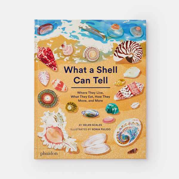What a Shell Can Tell - The Missing Piece Company