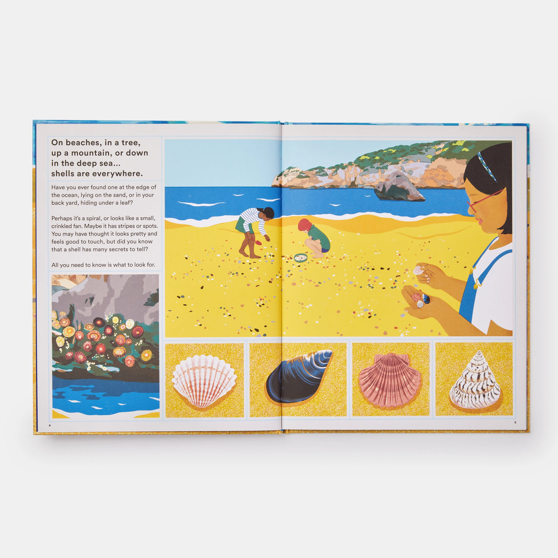 What a Shell Can Tell - The Missing Piece Company